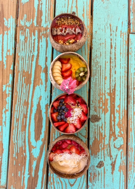 Coconut Bowl Family Pack (4)